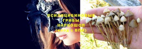 ПСИЛОЦИБИНОВЫЕ ГРИБЫ Новодвинск