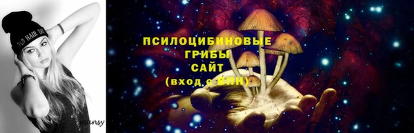 ГАЛЛЮЦИНОГЕННЫЕ ГРИБЫ Новозыбков