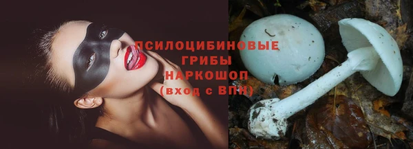 ГАЛЛЮЦИНОГЕННЫЕ ГРИБЫ Новозыбков