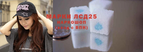 ГАЛЛЮЦИНОГЕННЫЕ ГРИБЫ Новозыбков