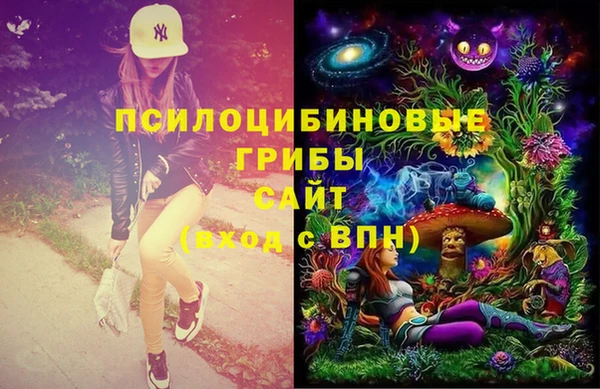 ГАЛЛЮЦИНОГЕННЫЕ ГРИБЫ Новозыбков