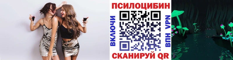 гидра как войти  Уяр  Галлюциногенные грибы Cubensis 